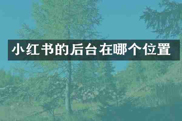 小红书的后台在哪个位置