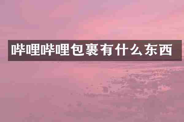 哔哩哔哩包裹有什么东西