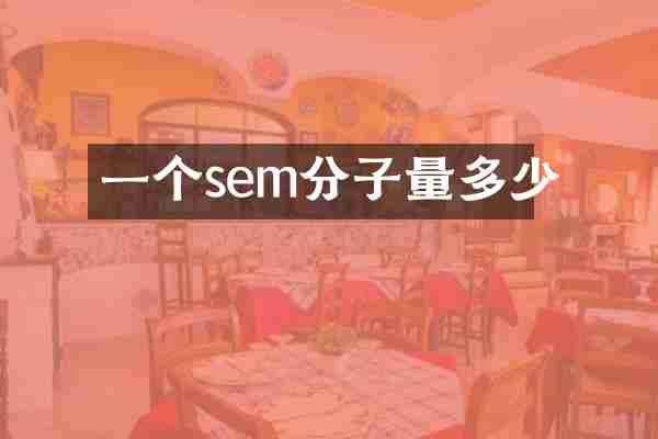 一个sem分子量多少