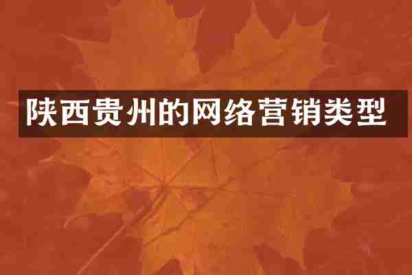 陕西贵州的网络营销类型