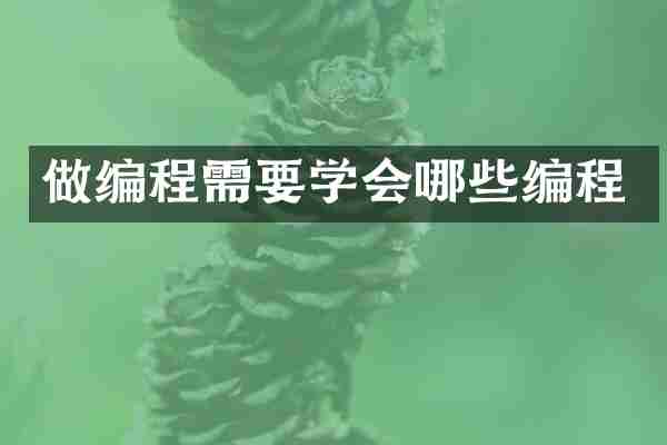 做编程需要学会哪些编程