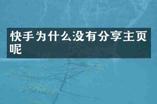 快手为什么没有分享主页呢