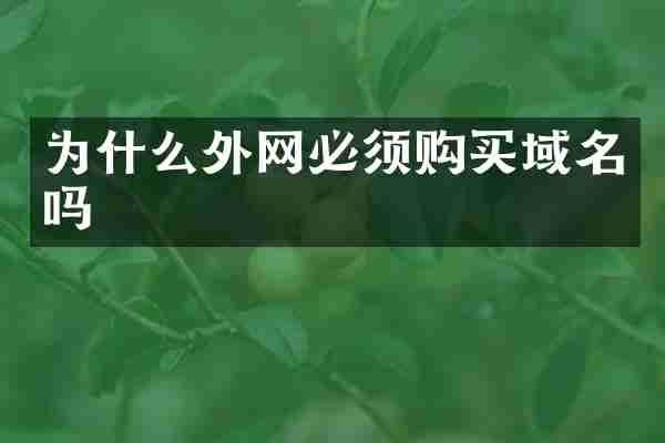 为什么外网必须购买域名吗