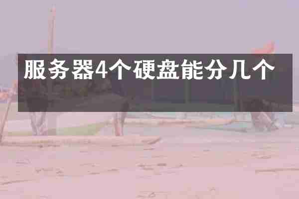 服务器4个硬盘能分几个区