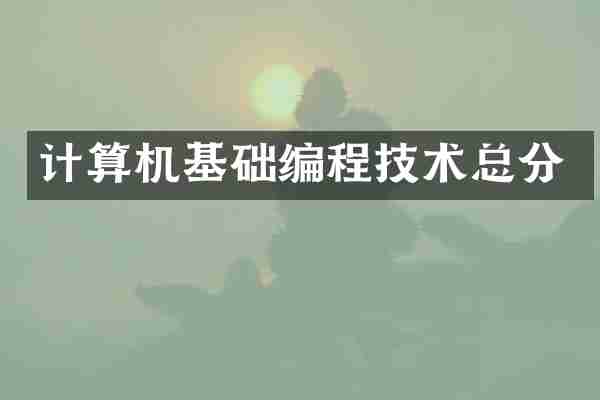 计算机基础编程技术总分