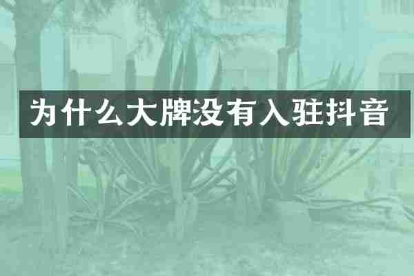 为什么大牌没有入驻抖音