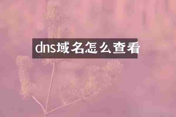 dns域名怎么查看