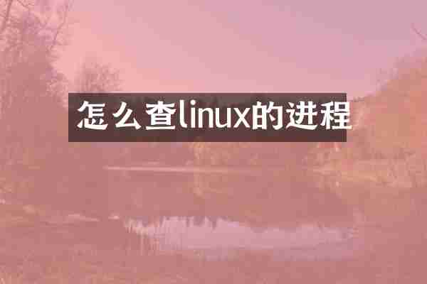 怎么查linux的进程