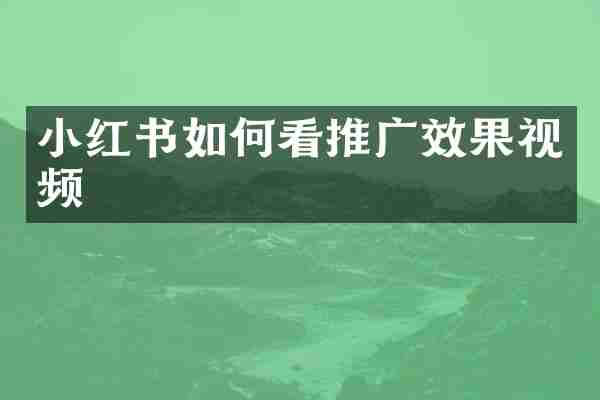 小红书如何看推广效果视频