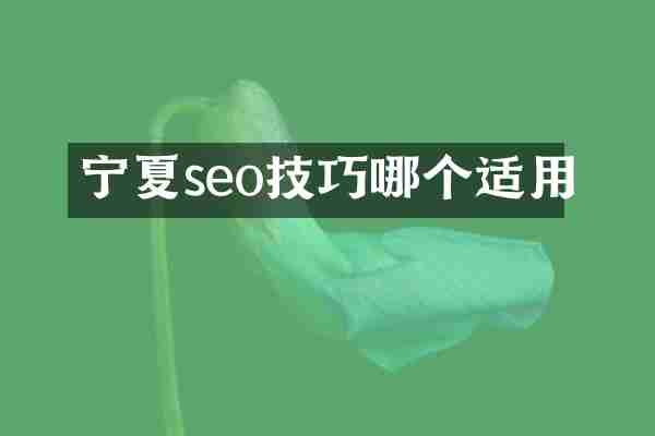 宁夏seo技巧哪个适用