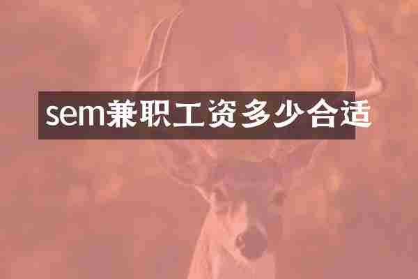 sem兼职工资多少合适