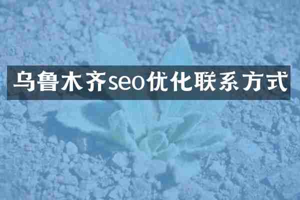 乌鲁木齐seo优化联系方式