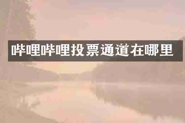 哔哩哔哩投票通道在哪里