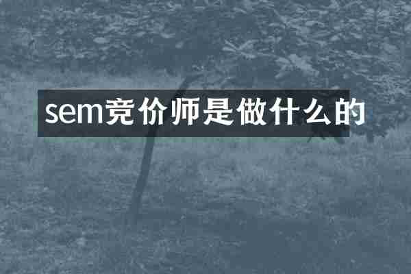 sem竞价师是做什么的