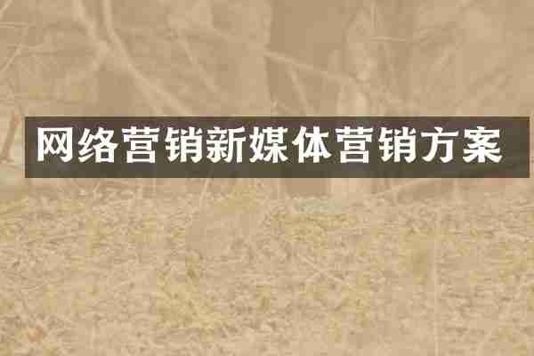 网络营销新媒体营销方案