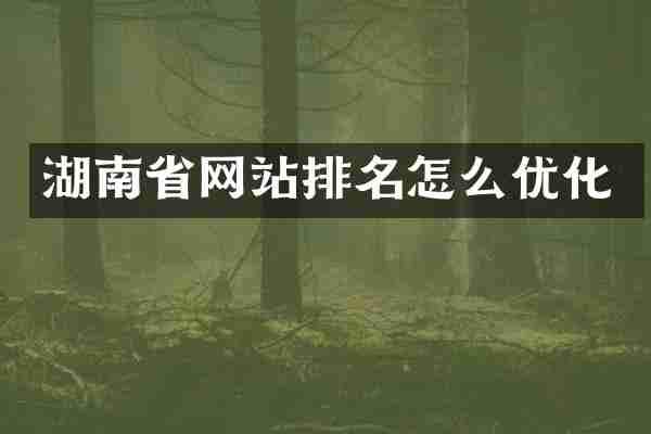 湖南省网站排名怎么优化