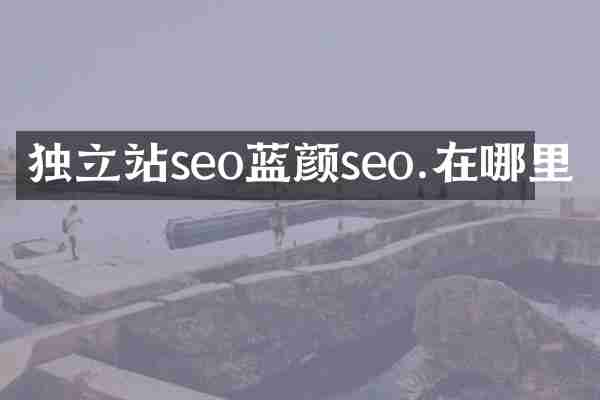 独立站seo蓝颜seo.在哪里