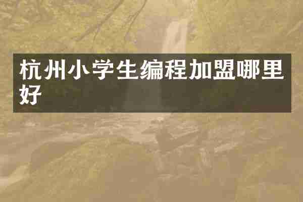 杭州小学生编程加盟哪里好