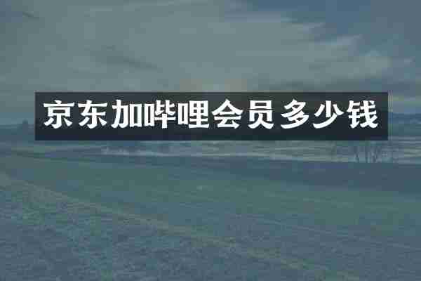 京东加哔哩会员多少钱
