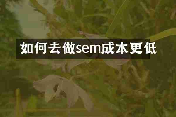 如何去做sem成本更低