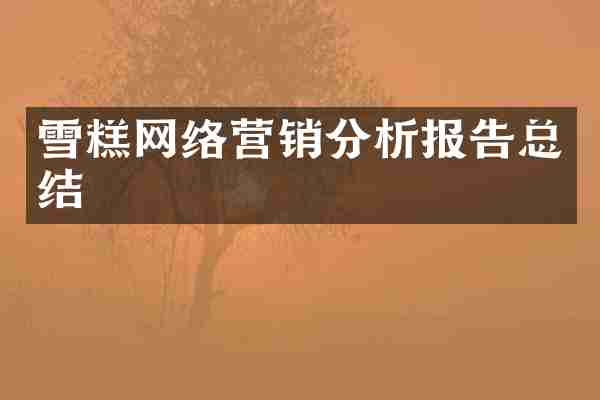 雪糕网络营销分析报告总结
