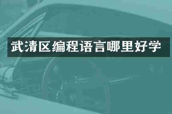 武清区编程语言哪里好学