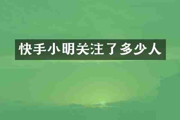 快手小明关注了多少人