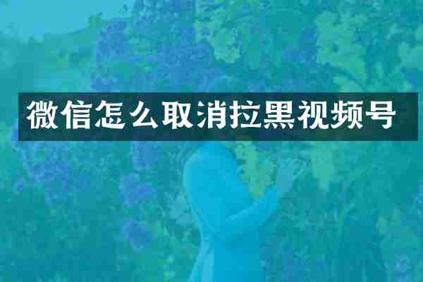 微信怎么取消拉黑视频号