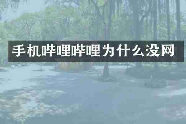 手机哔哩哔哩为什么没网