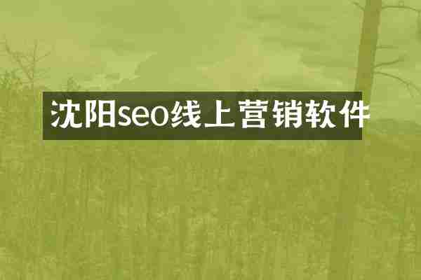 沈阳seo线上营销软件