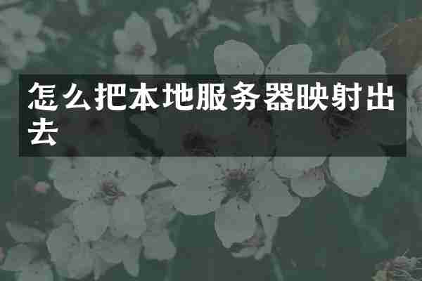 怎么把本地服务器映射出去