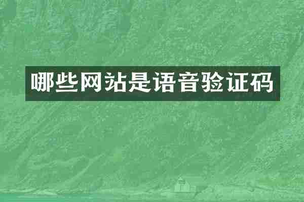 哪些网站是语音验证码