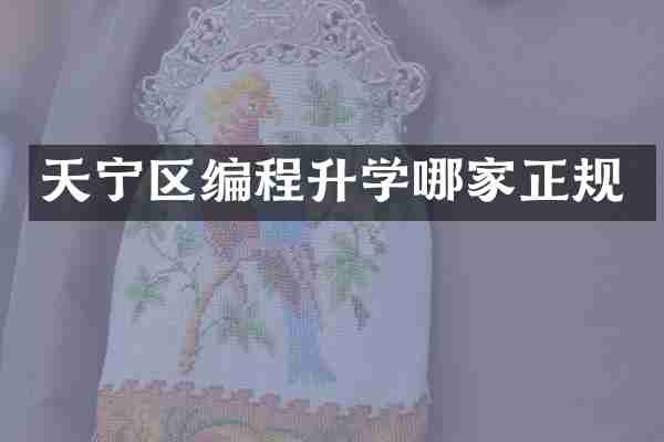 天宁区编程升学哪家正规