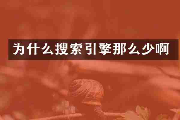 为什么搜索引擎那么少啊