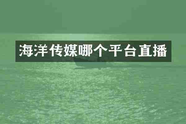 海洋传媒哪个平台直播