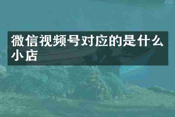 微信视频号对应的是什么小店