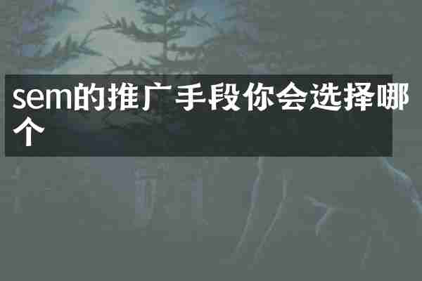 sem的推广手段你会选择哪个