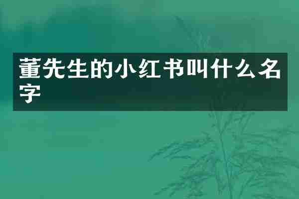 董先生的小红书叫什么名字