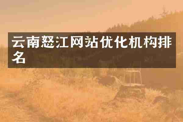 云南怒江网站优化机构排名