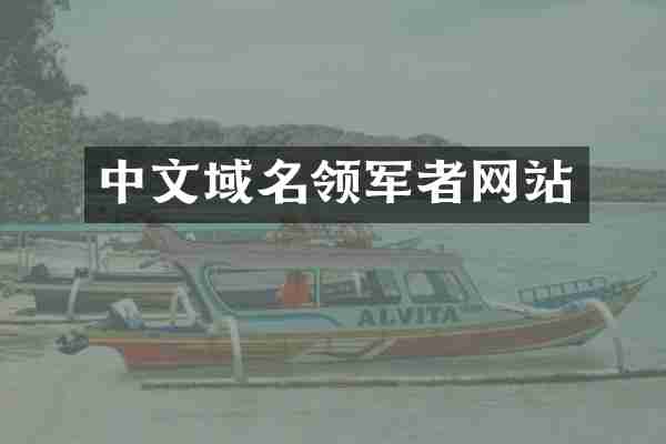 中文域名领军者网站
