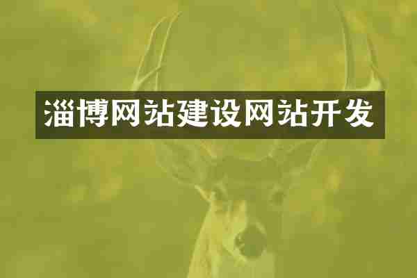 淄博网站建设网站开发