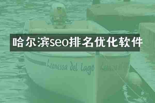 哈尔滨seo排名优化软件