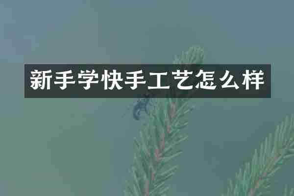 新手学快手工艺怎么样