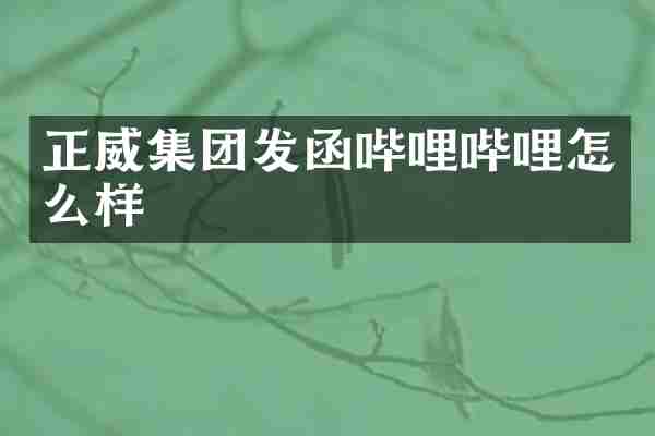 正威集团发函哔哩哔哩怎么样