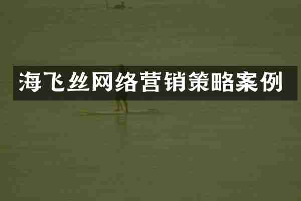 海飞丝网络营销策略案例
