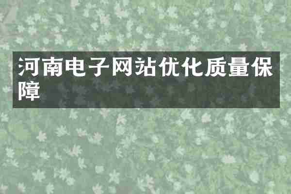 河南电子网站优化质量保障