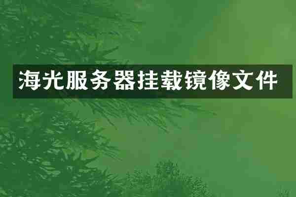 海光服务器挂载镜像文件