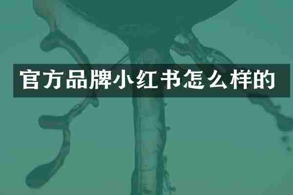 官方品牌小红书怎么样的