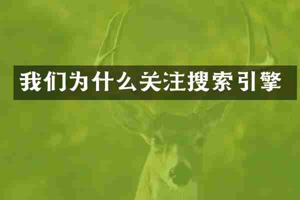 我们为什么关注搜索引擎