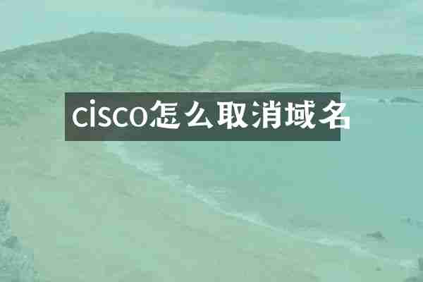 cisco怎么取消域名